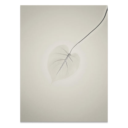 Premium Poster of Delicate Leaf with Abstract Background Art Posters