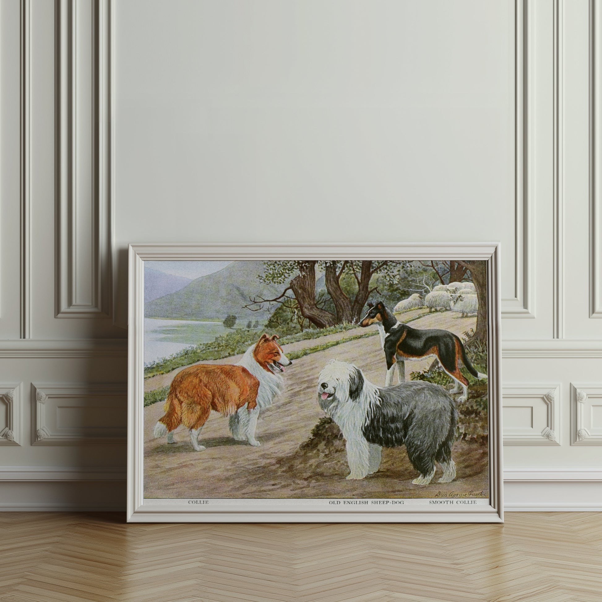 Premium Poster of Diverse Collie Breeds Art Print Rural Path with Sheep Posters