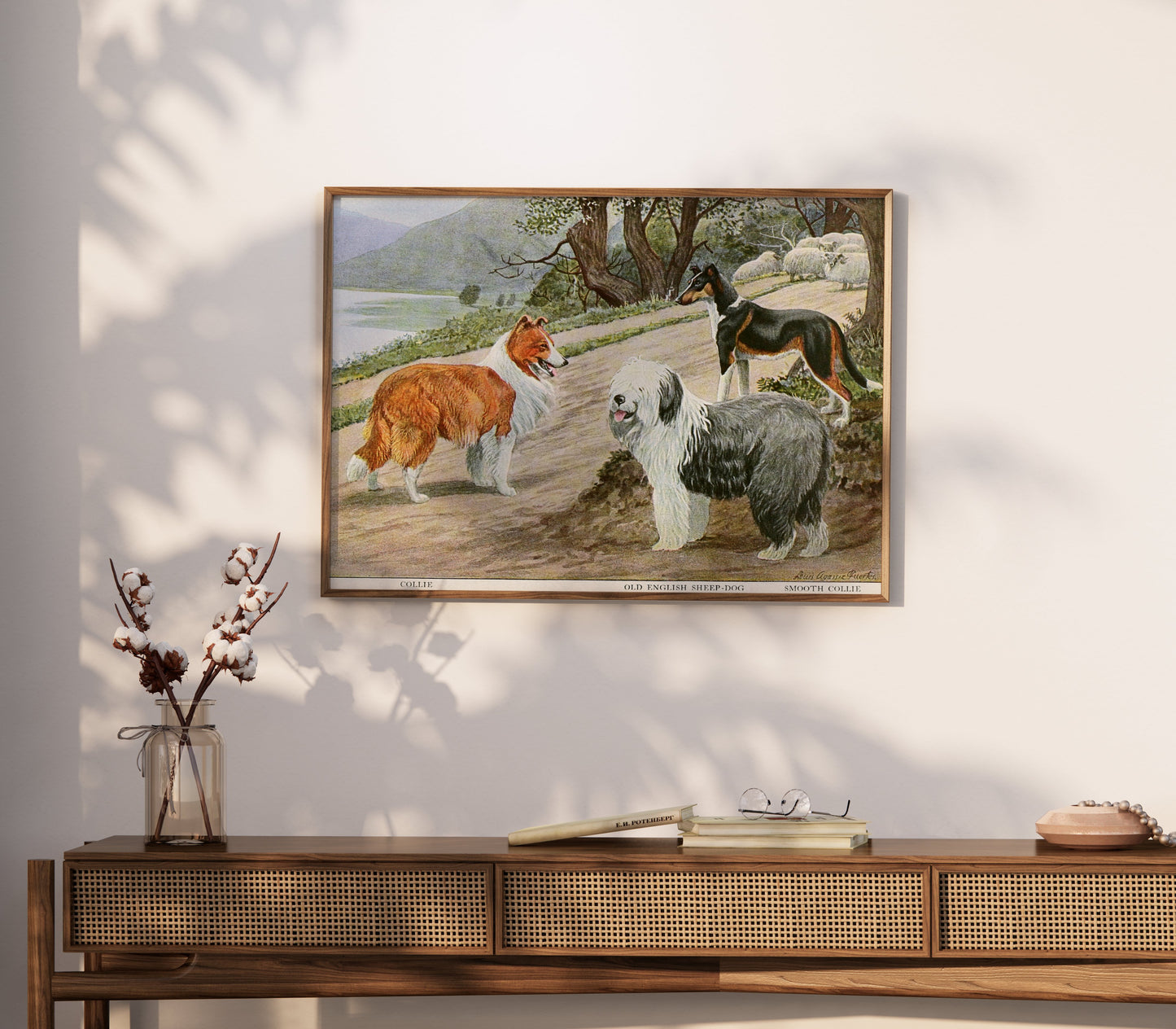 Premium Poster of Diverse Collie Breeds Art Print Rural Path with Sheep Posters