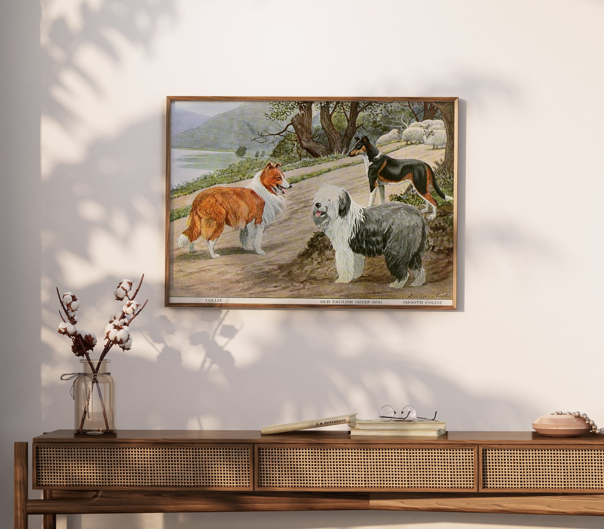 Premium Poster of Diverse Collie Breeds Art Print Rural Path with Sheep Posters