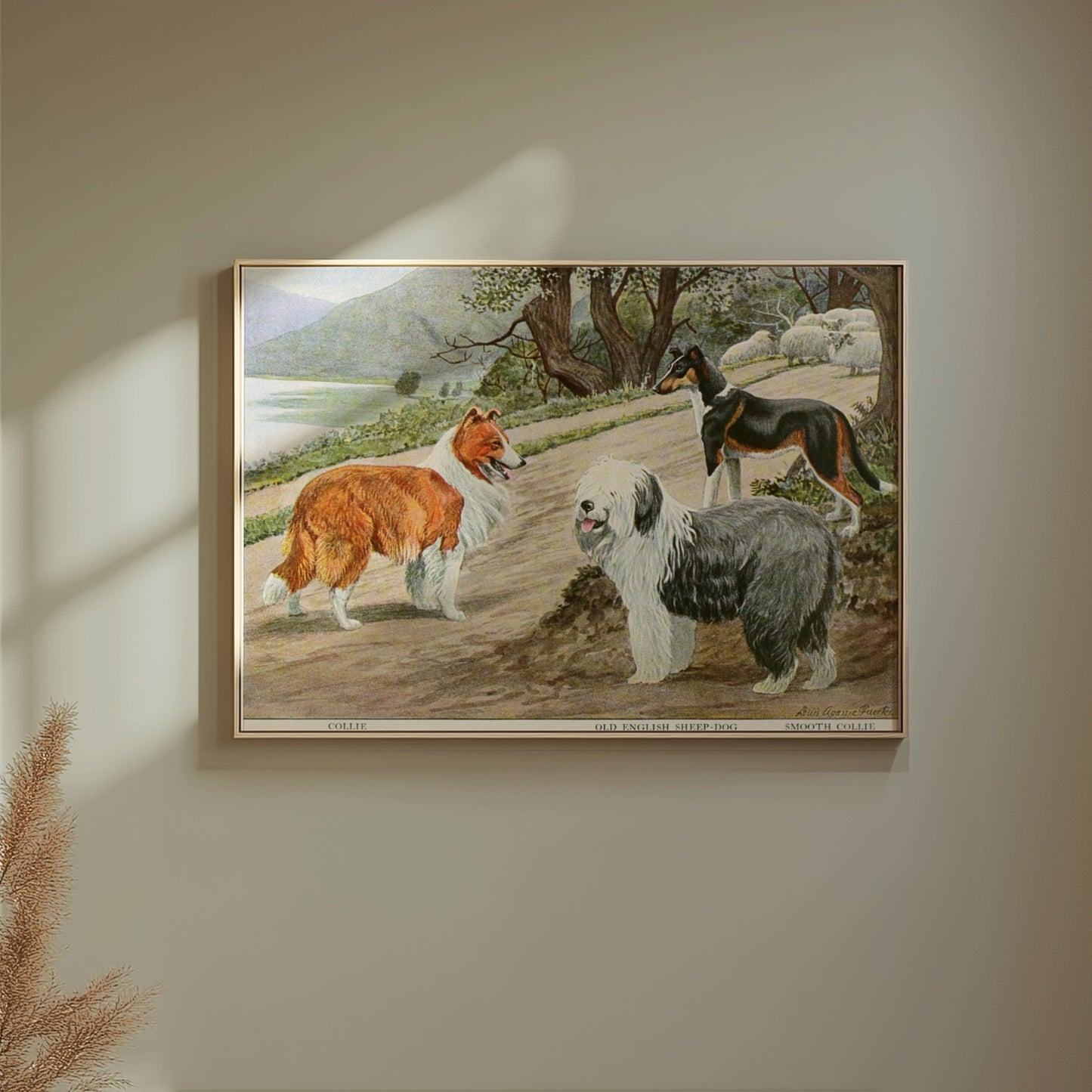 Premium Poster of Diverse Collie Breeds Art Print Rural Path with Sheep Posters