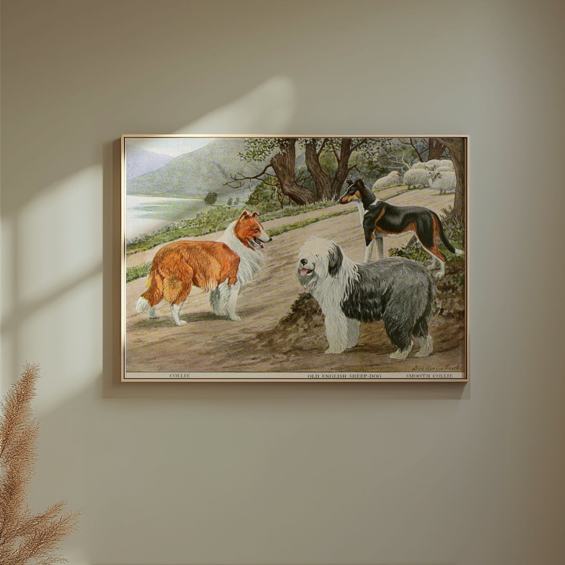 Premium Poster of Diverse Collie Breeds Art Print Rural Path with Sheep Posters