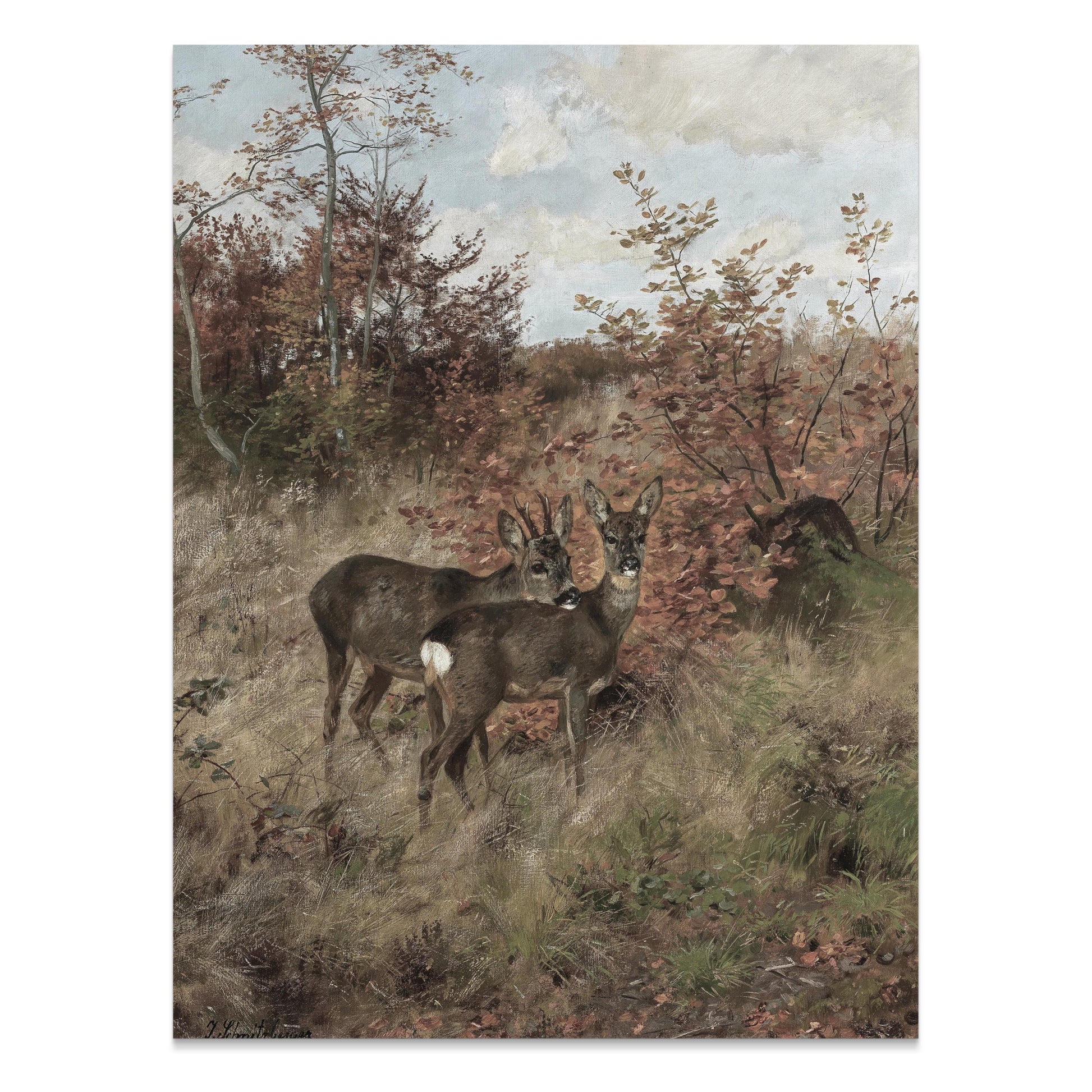 Premium Poster of Early Morning Deer Meet in Forest Art Print Posters