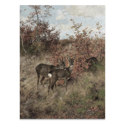 Premium Poster of Early Morning Deer Meet in Forest Art Print Posters