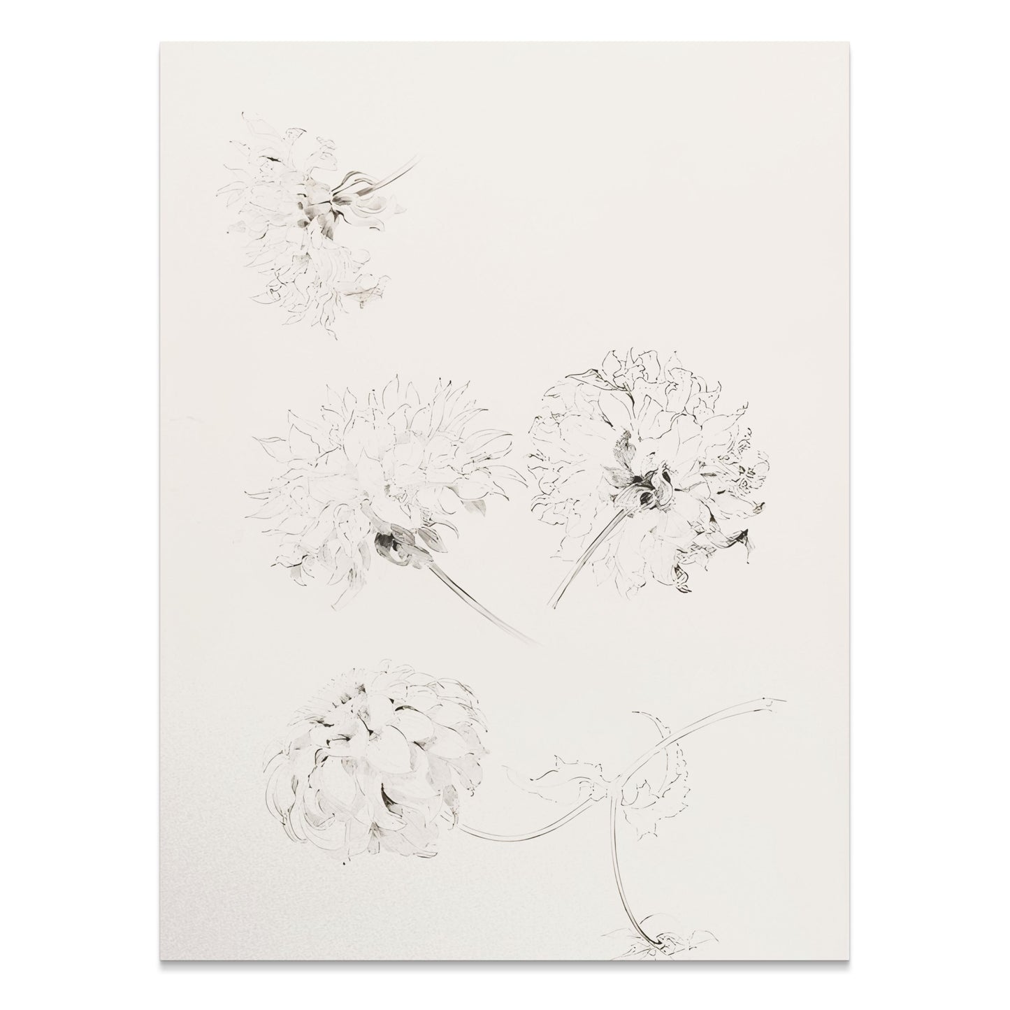 Premium Poster of Elegant Art Sketch of Flowers on Beige Background Posters