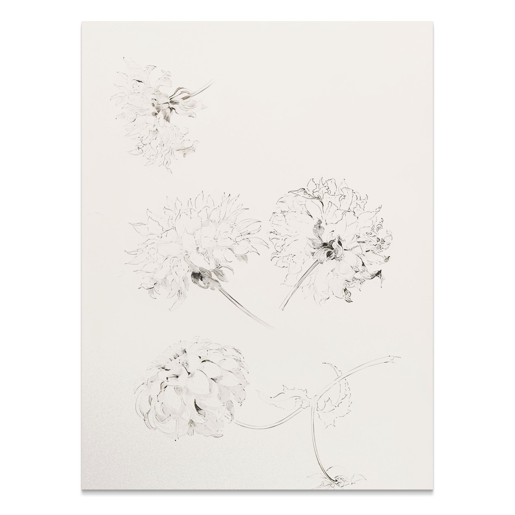 Premium Poster of Elegant Art Sketch of Flowers on Beige Background Posters