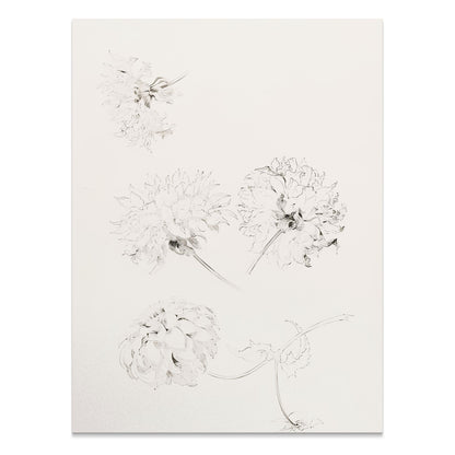 Premium Poster of Elegant Art Sketch of Flowers on Beige Background Posters