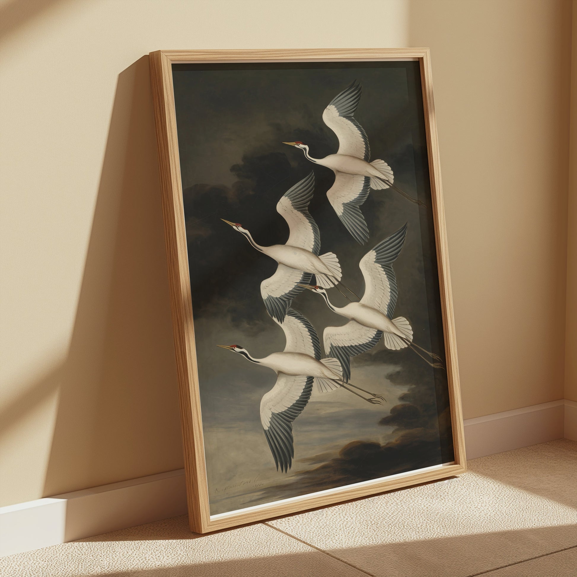 Premium Poster of Elegant Avian Illustration with Four Cranes Posters