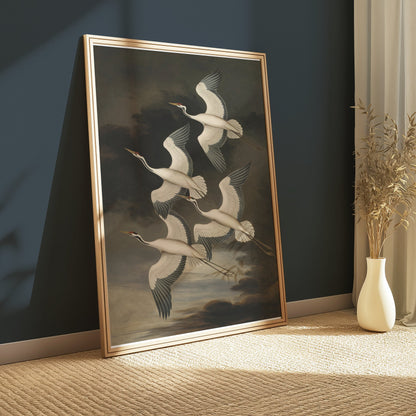 Premium Poster of Elegant Avian Illustration with Four Cranes Posters
