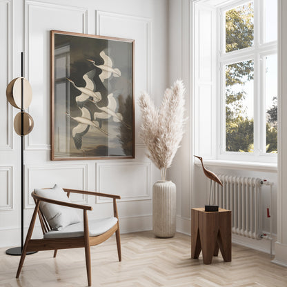 Premium Poster of Elegant Avian Illustration with Four Cranes Posters