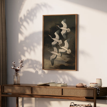 Premium Poster of Elegant Avian Illustration with Four Cranes Posters