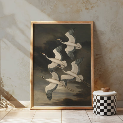 Premium Poster of Elegant Avian Illustration with Four Cranes Posters