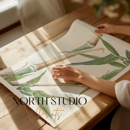 Premium Poster of Elegant Bamboo Artwork for Home Decor Posters