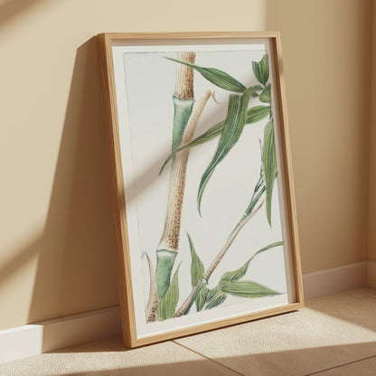 Premium Poster of Elegant Bamboo Artwork for Home Decor Posters