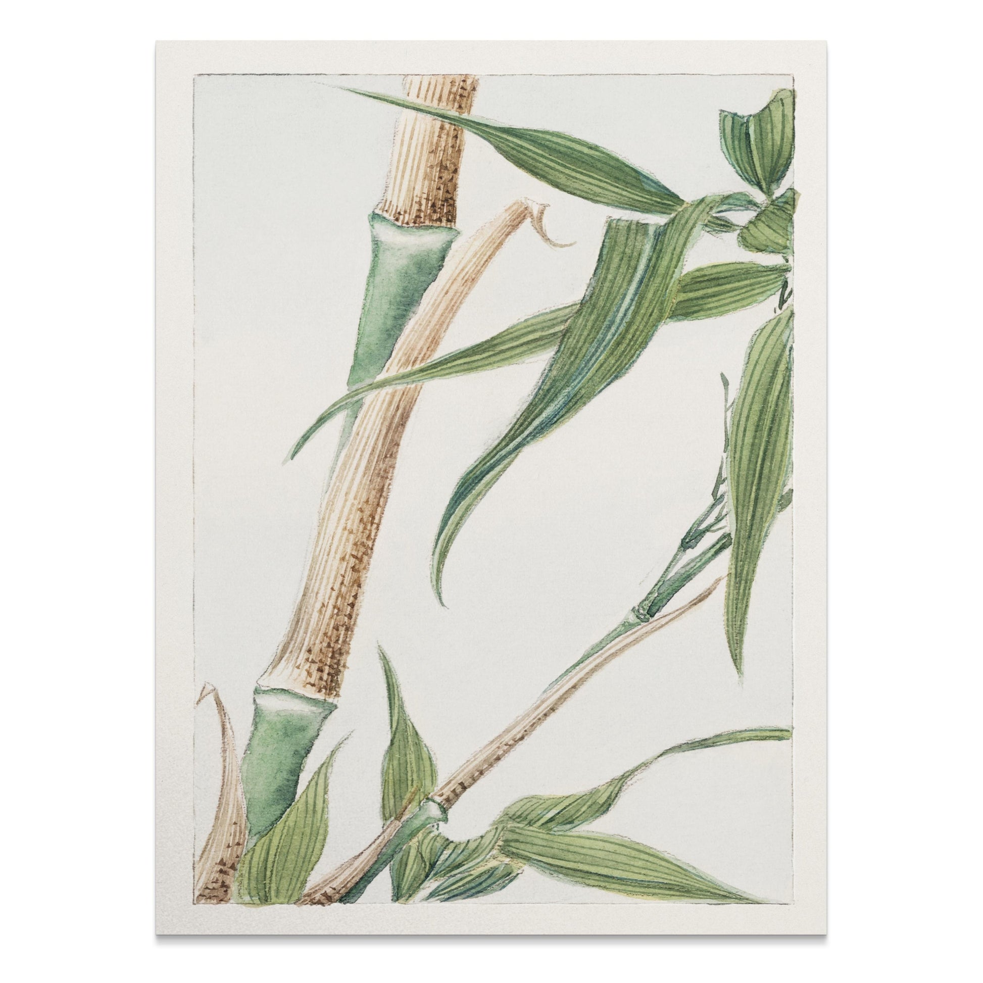 Premium Poster of Elegant Bamboo Artwork for Home Decor Posters