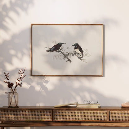 Premium Poster of Elegant Birds on Branch Vintage Art Illustration Posters