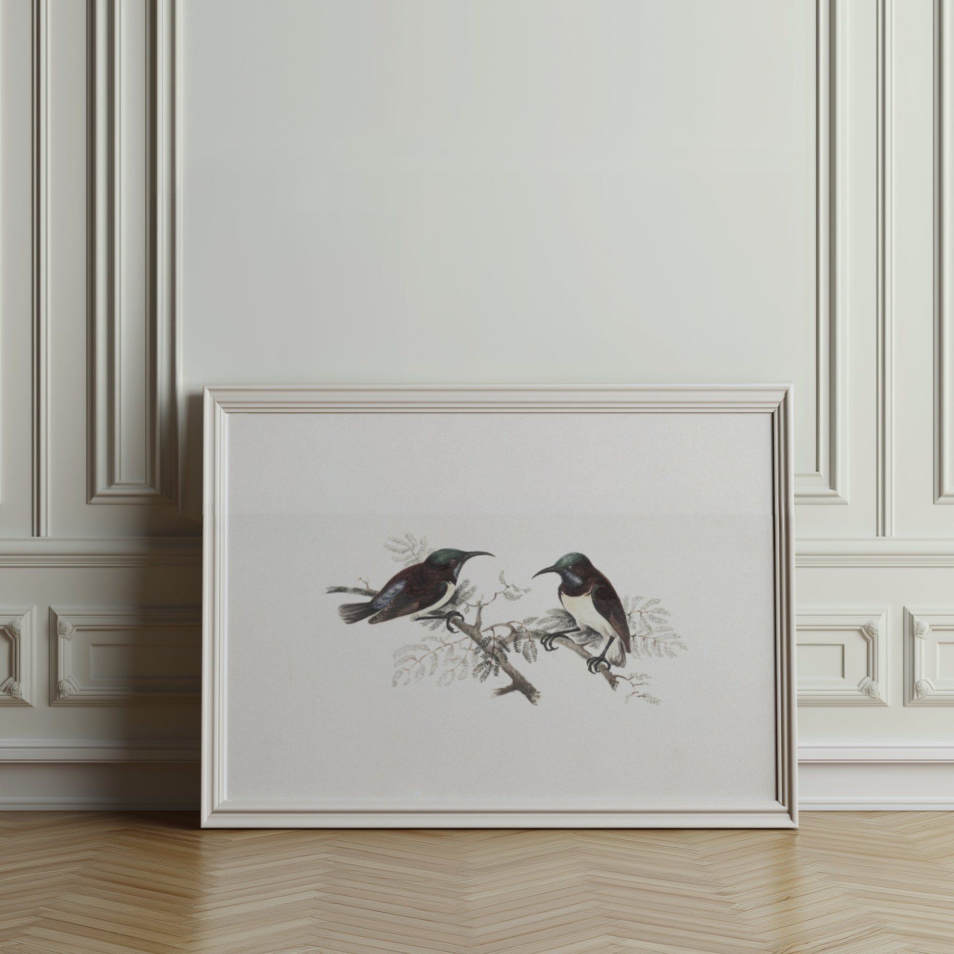 Premium Poster of Elegant Birds on Branch Vintage Art Illustration Posters