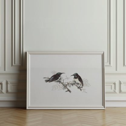 Premium Poster of Elegant Birds on Branch Vintage Art Illustration Posters