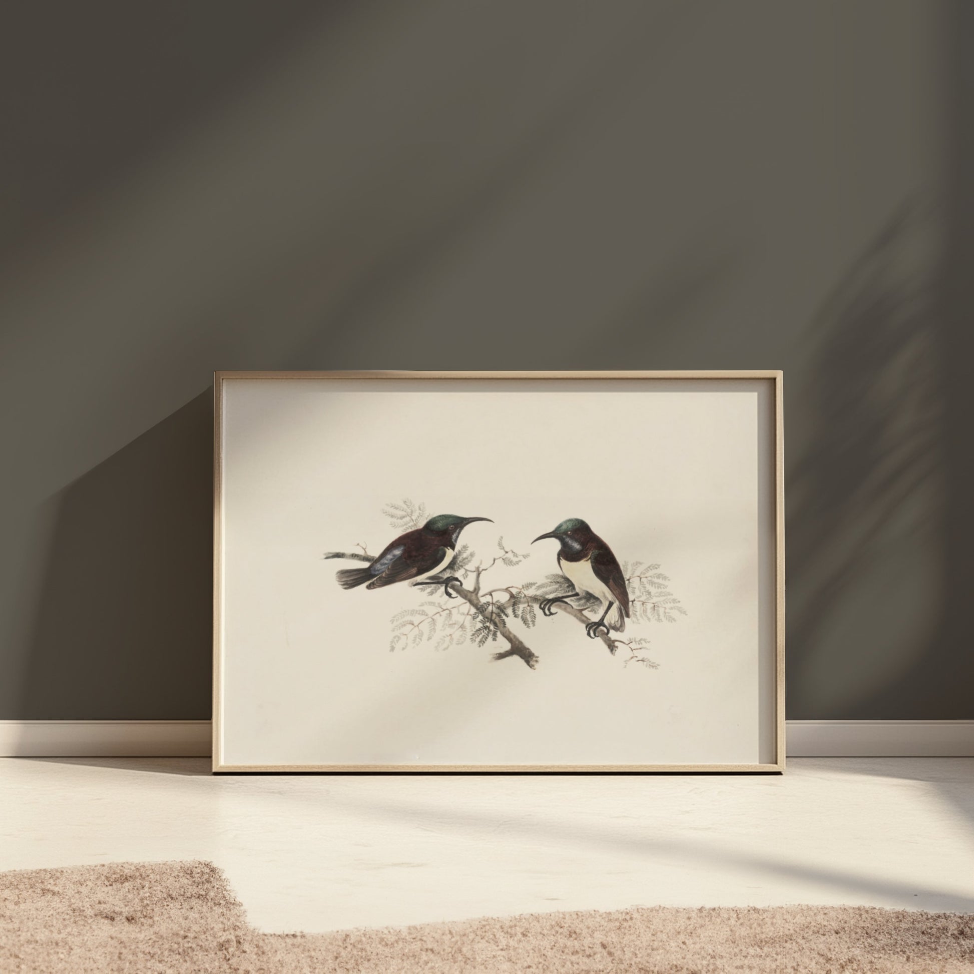 Premium Poster of Elegant Birds on Branch Vintage Art Illustration Posters