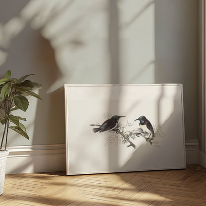 Premium Poster of Elegant Birds on Branch Vintage Art Illustration Posters