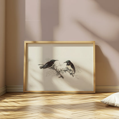 Premium Poster of Elegant Birds on Branch Vintage Art Illustration Posters