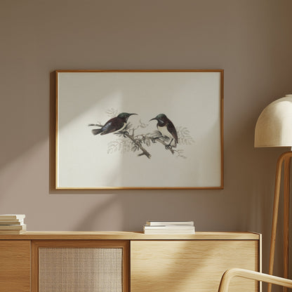 Premium Poster of Elegant Birds on Branch Vintage Art Illustration Posters