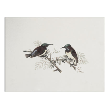 Premium Poster of Elegant Birds on Branch Vintage Art Illustration Posters