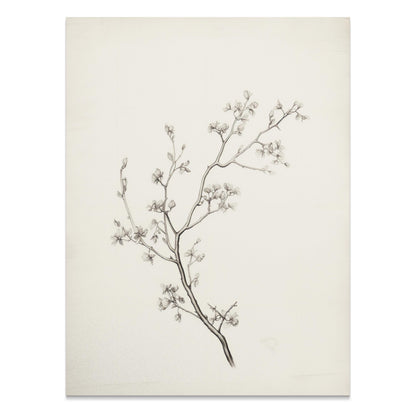Premium Poster of Elegant Black and White Botanical Sketch Art Posters