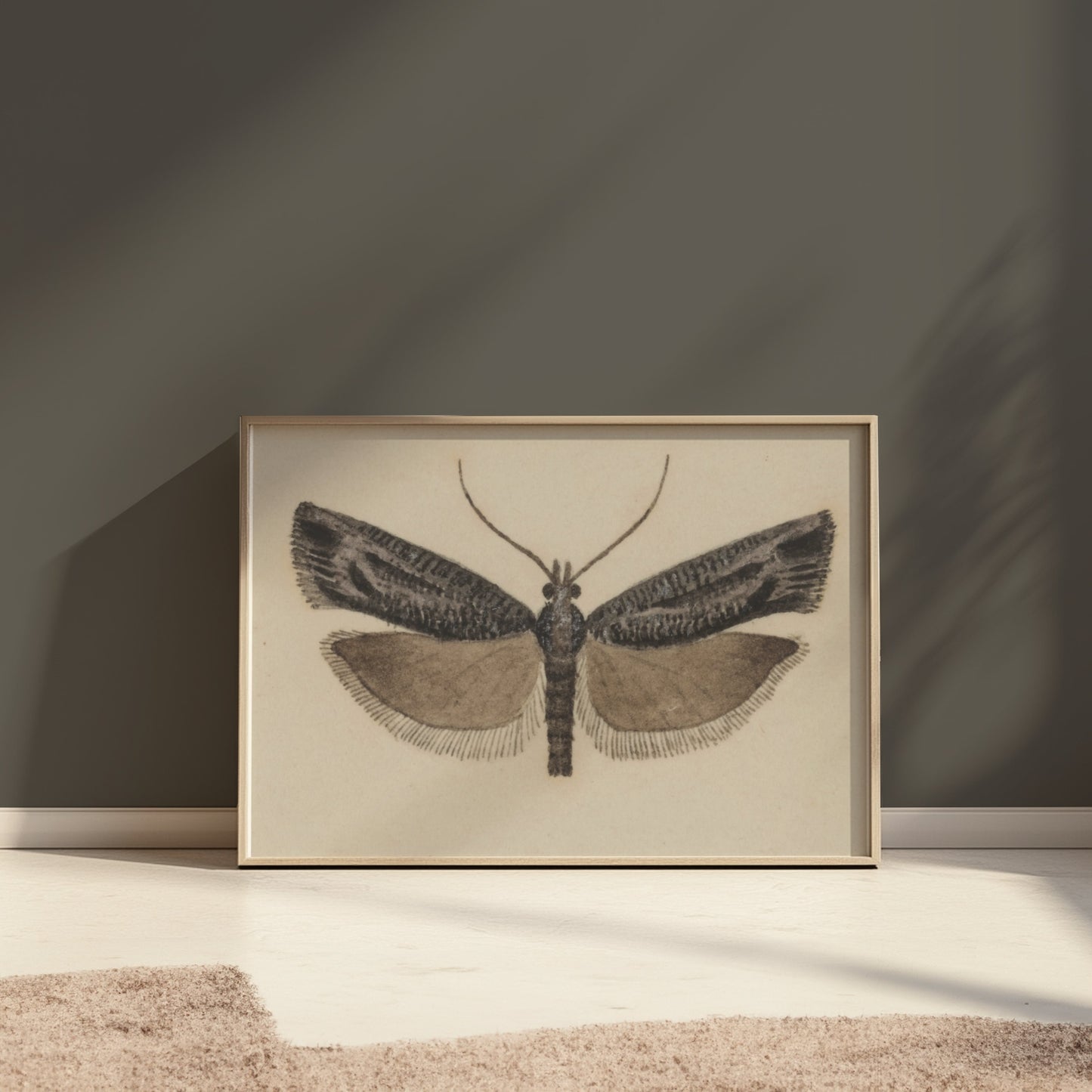 Premium Poster of Elegant Black and White Moth Illustration Artwork Posters
