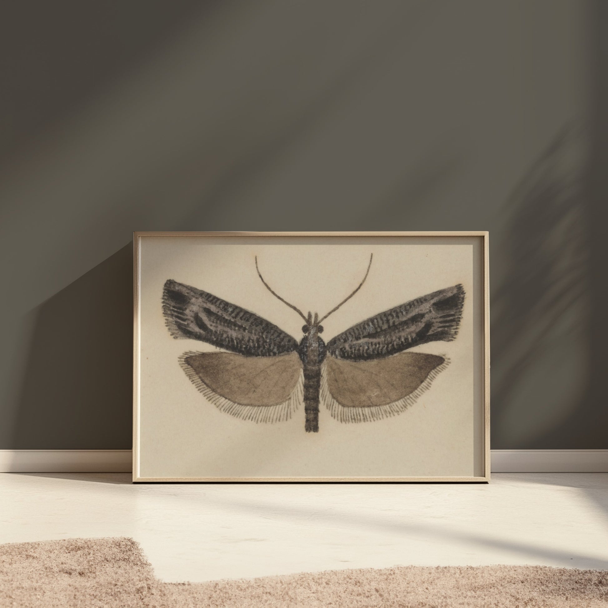 Premium Poster of Elegant Black and White Moth Illustration Artwork Posters