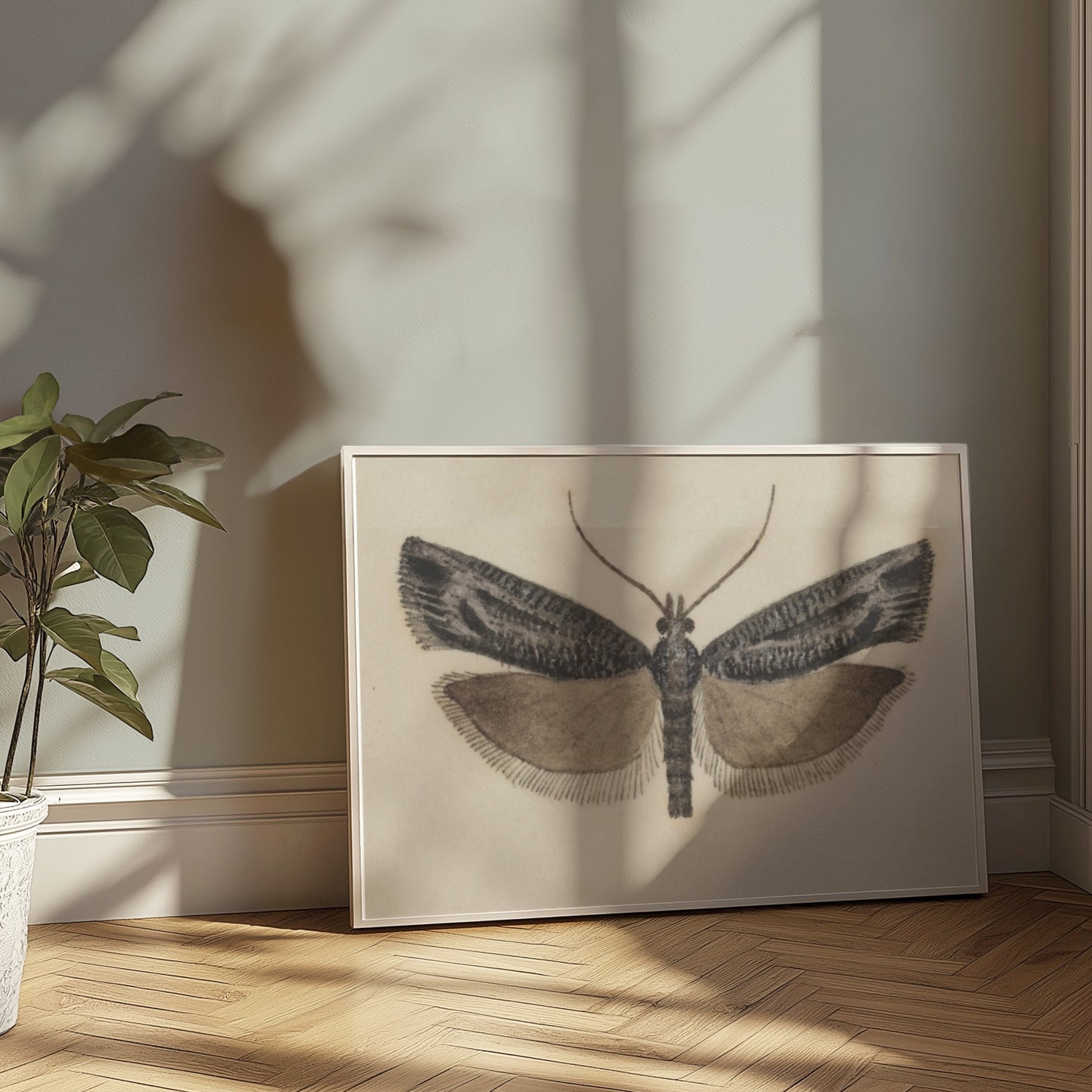Premium Poster of Elegant Black and White Moth Illustration Artwork Posters