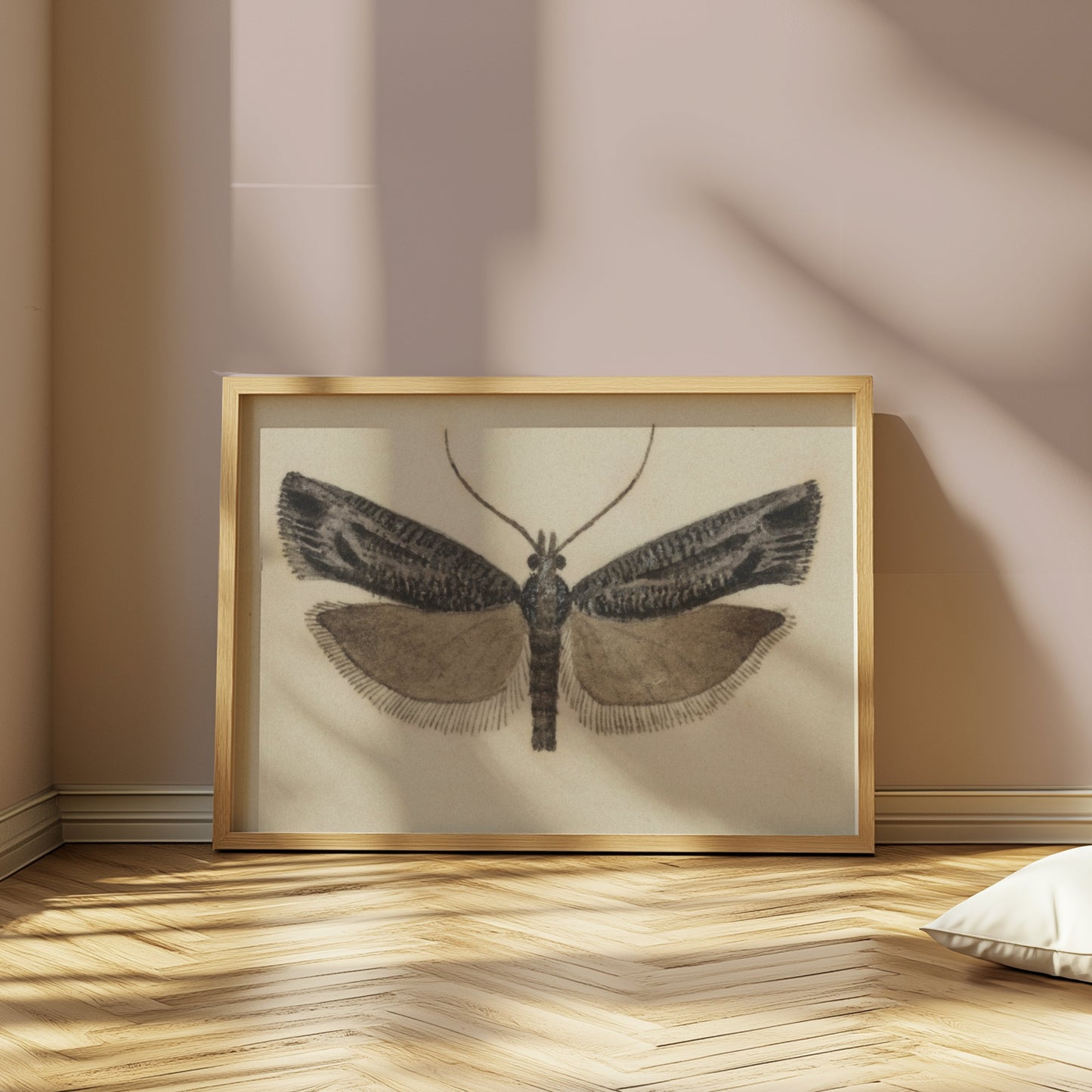 Premium Poster of Elegant Black and White Moth Illustration Artwork Posters