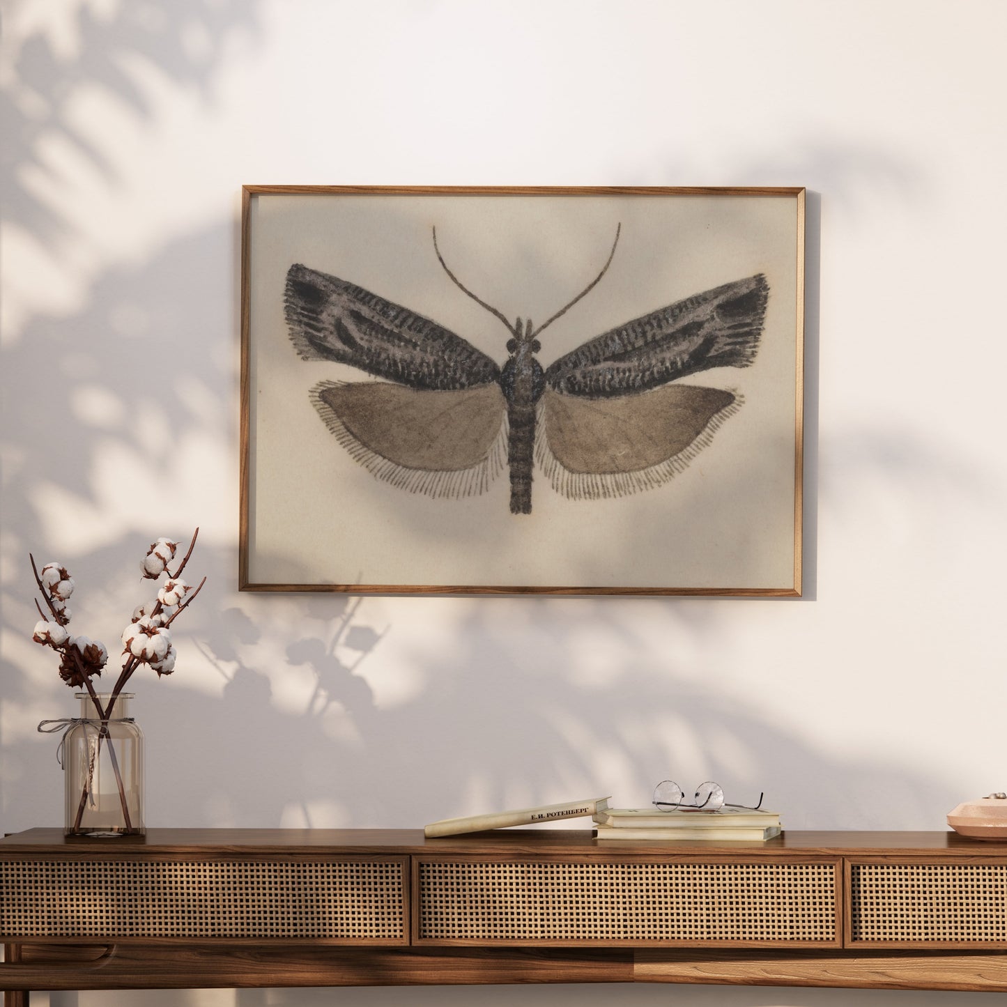 Premium Poster of Elegant Black and White Moth Illustration Artwork Posters