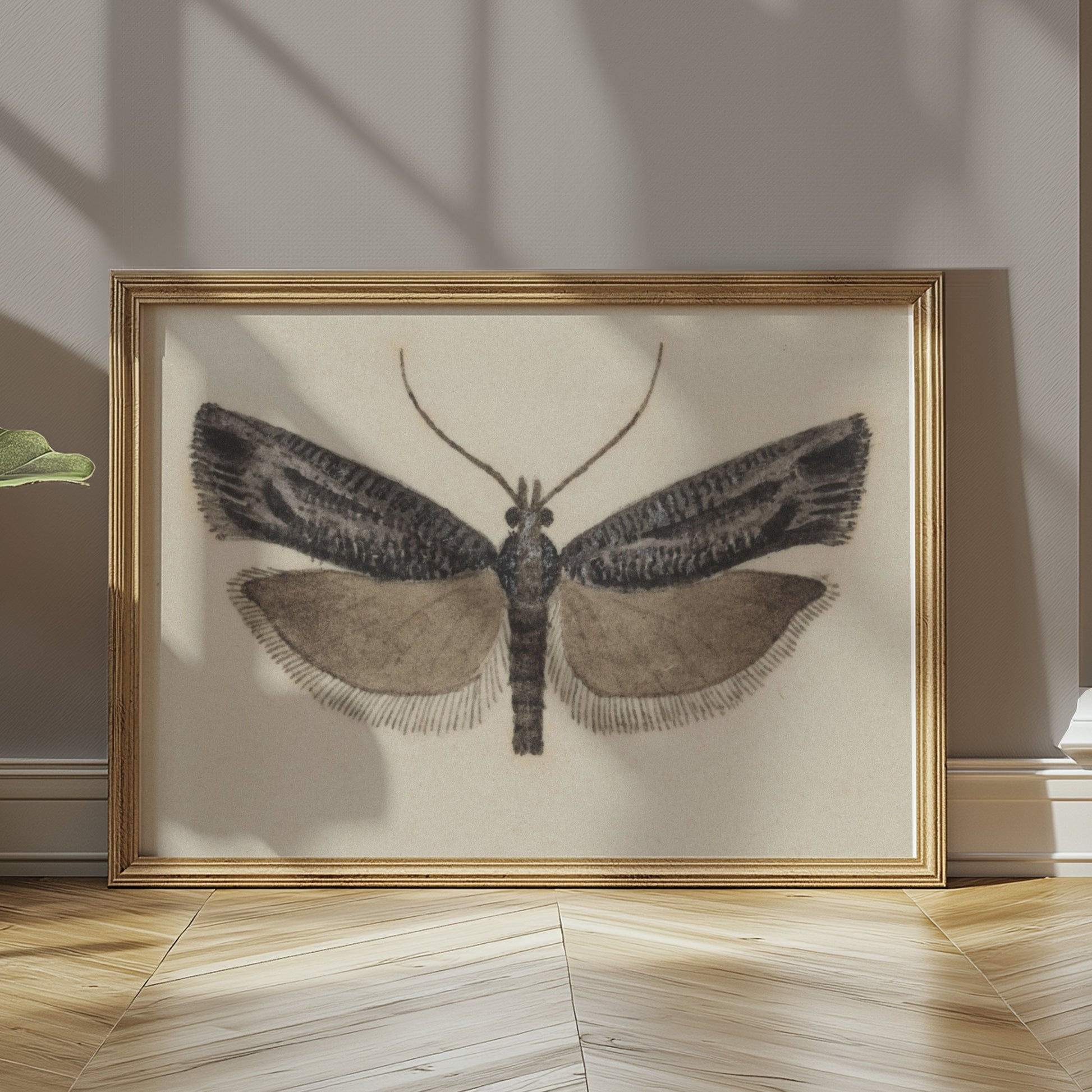 Premium Poster of Elegant Black and White Moth Illustration Artwork Posters