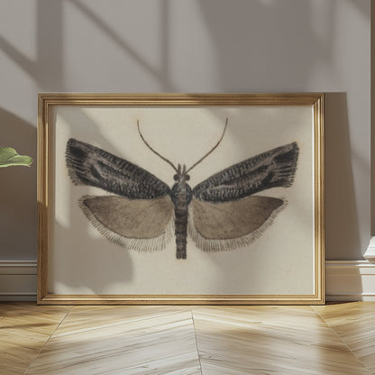 Premium Poster of Elegant Black and White Moth Illustration Artwork Posters