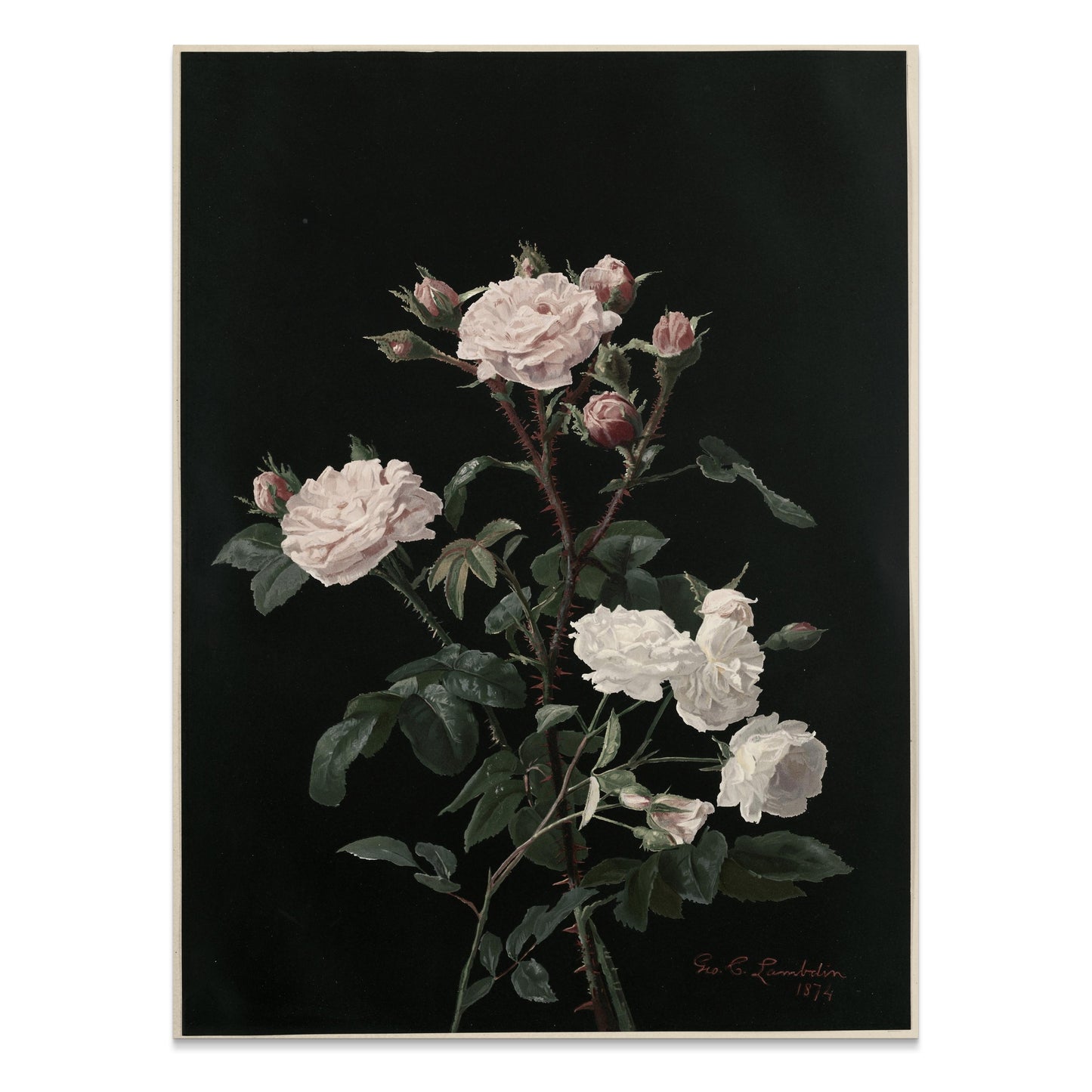 Premium Poster of Elegant Blossoming Floral Bouquet Set On Black Posters