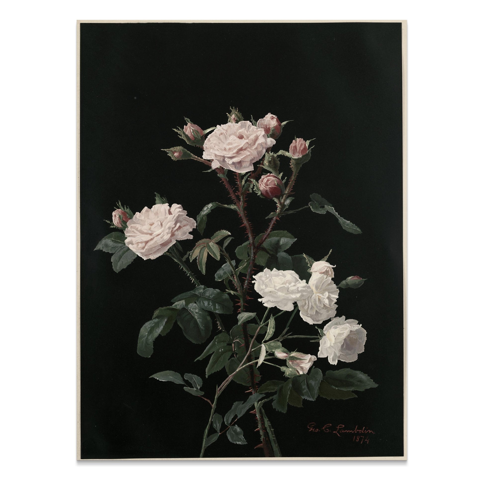 Premium Poster of Elegant Blossoming Floral Bouquet Set On Black Posters