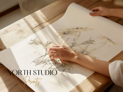 Premium Poster of Elegant Botanical Art Drawing of Flower Posters