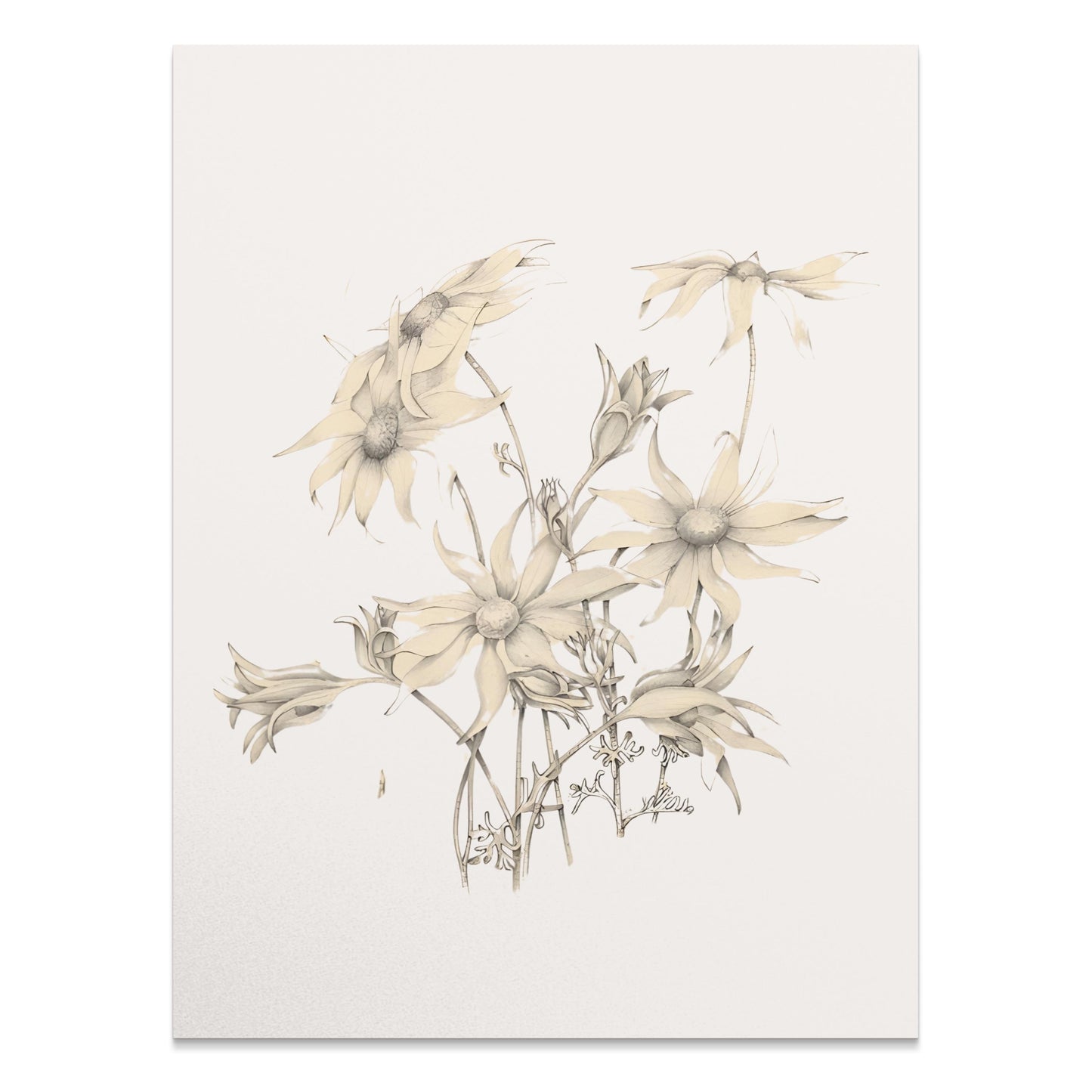 Premium Poster of Elegant Botanical Art Drawing of Flower Posters