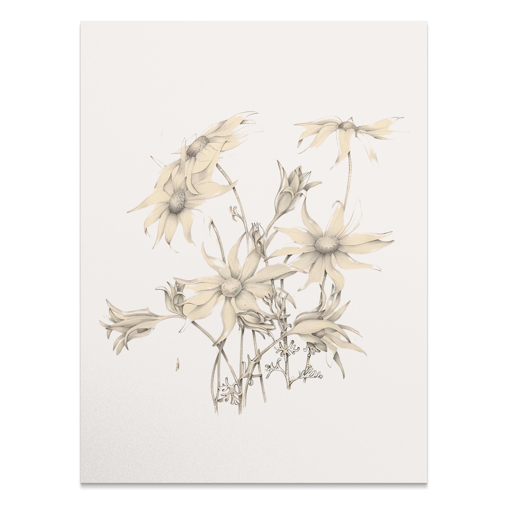Premium Poster of Elegant Botanical Art Drawing of Flower Posters