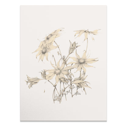 Premium Poster of Elegant Botanical Art Drawing of Flower Posters