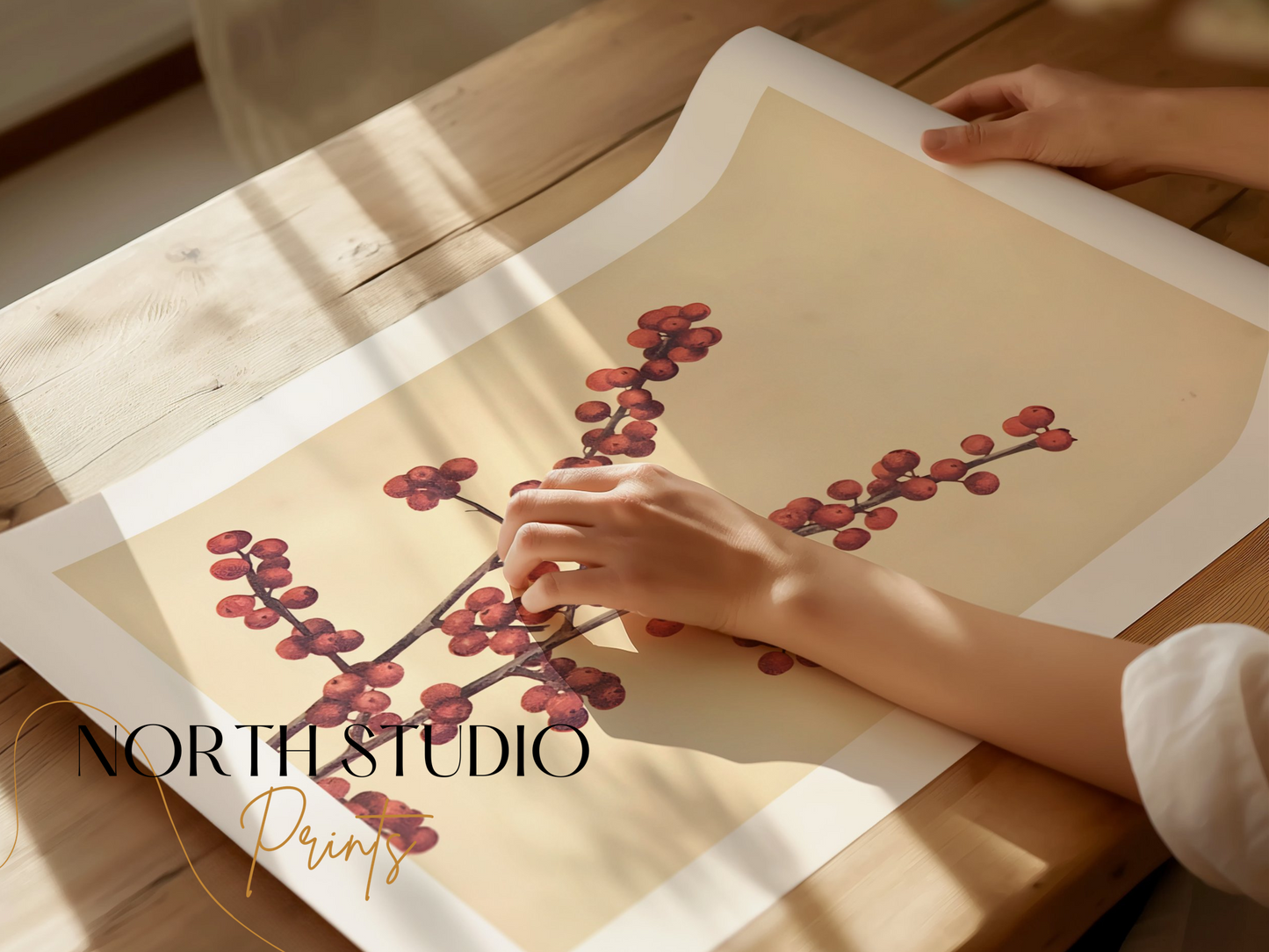 Premium Poster of Elegant Botanical Art Print with Red Berries Posters