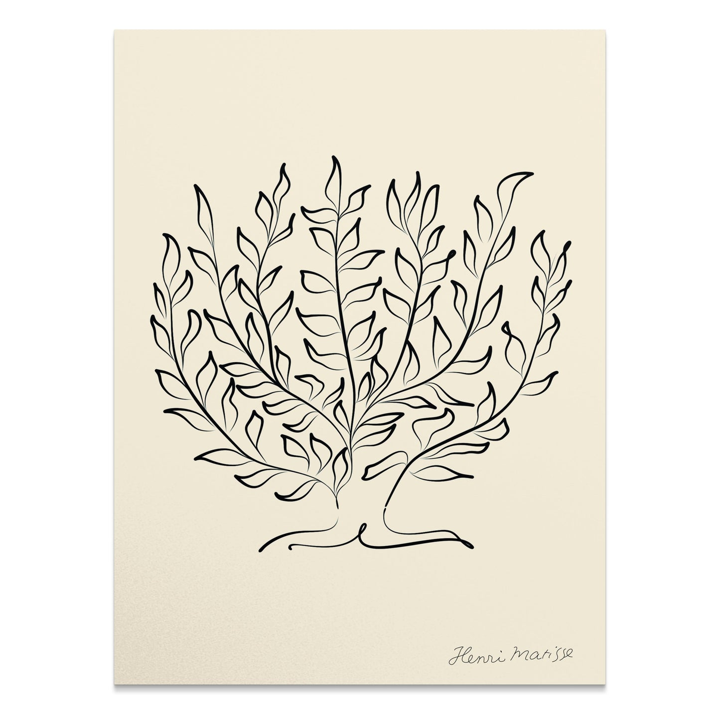 Premium Poster of Elegant Botanical Artwork Henri Matisse-Inspired Posters