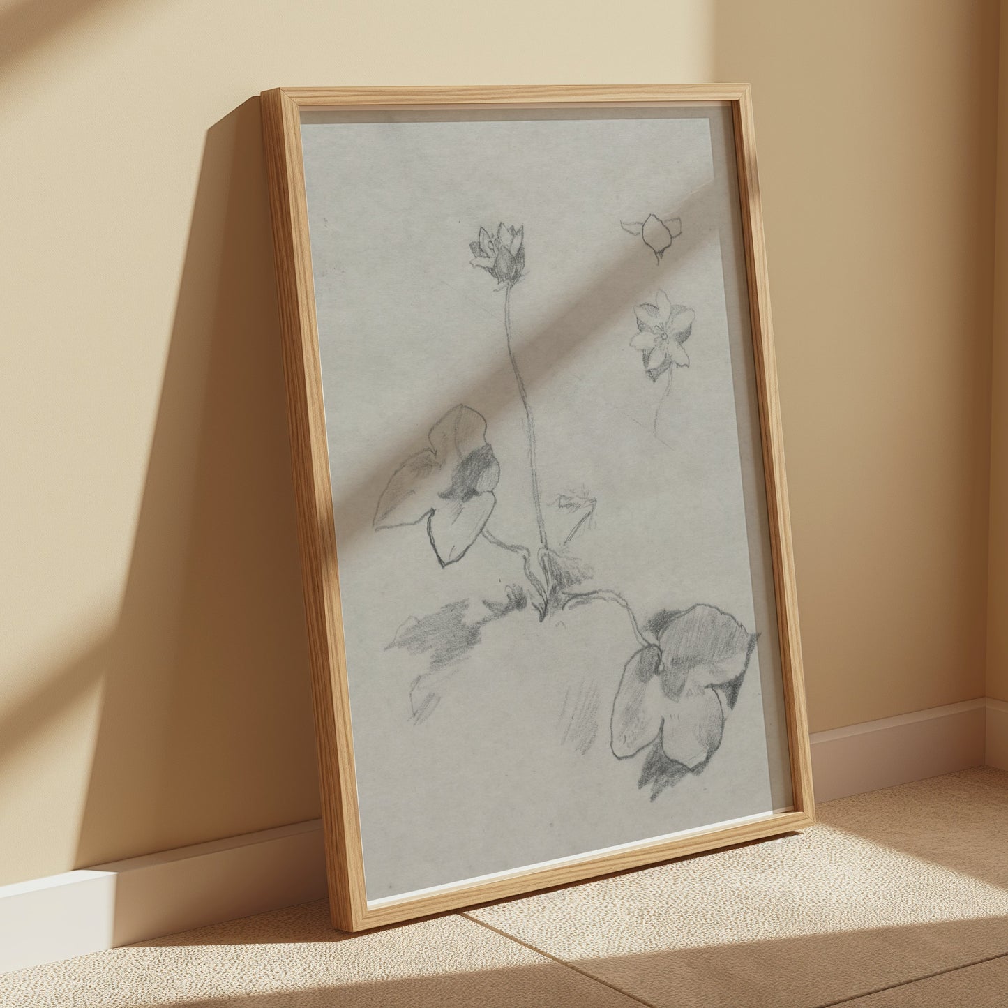 Premium Poster of Elegant Botanical Flower Sketch Art Study Posters
