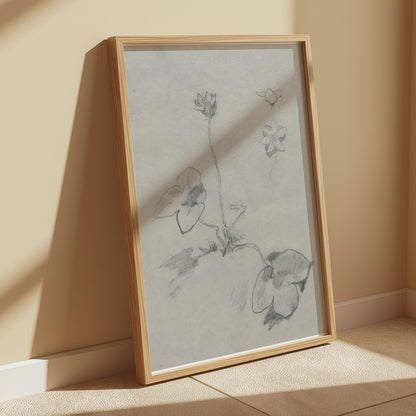 Premium Poster of Elegant Botanical Flower Sketch Art Study Posters