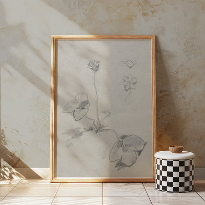 Premium Poster of Elegant Botanical Flower Sketch Art Study Posters