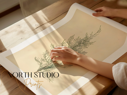 Premium Poster of Elegant Botanical Illustration of Greenery Posters