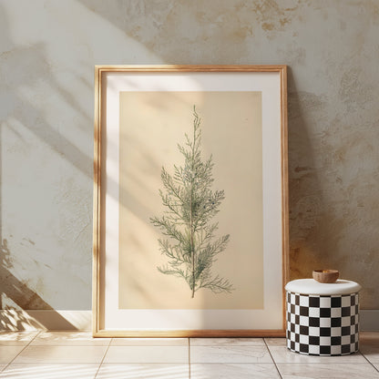 Premium Poster of Elegant Botanical Illustration of Greenery Posters