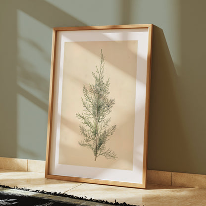 Premium Poster of Elegant Botanical Illustration of Greenery Posters