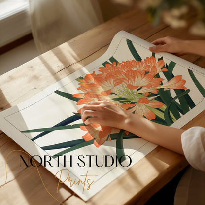 Premium Poster of Elegant Clivia Miniata Botanical Art Print Posters